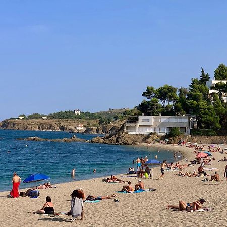 Appartement Studio moderne Argeles sur mer.La plage à pieds, Espagne à 30mn Extérieur photo